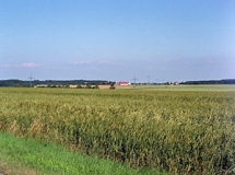 Blick nach Südosten in die Lonetal-Flächenalb (Niedere Alb) (Foto: Rolf Heimann)