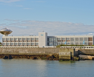 Die Aufzuchtanlage für die heimische Austernart wird am AWI-Standort auf Helgoland entstehen.