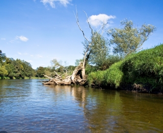 Wilde Mulde