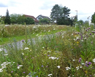 Radweg in Gelnhausen