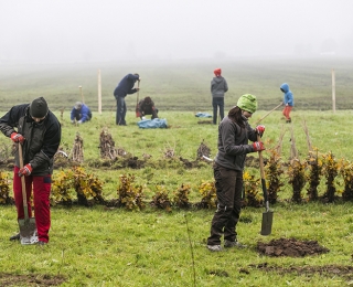 Ehrenamtliche setzen Pflanzen für den Gartenschläfer.