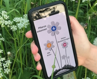 Die App Flora Incognita