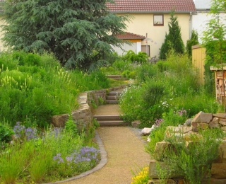 Naturnaher Schaugarten