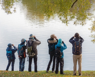 Personen stehen an einem Gewässer und schauen mit Ferngläsern aufs Wasser