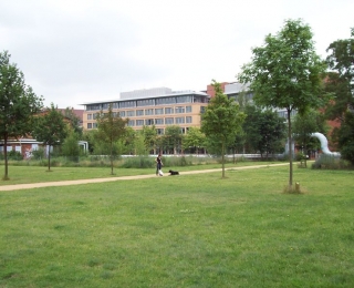 Stadtlandschaft mit Bürogebäude, Bäumen, Spazierweg, Wiese