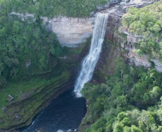 Chribiquete National Park