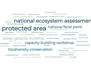 Regional partner activities related to IPBES