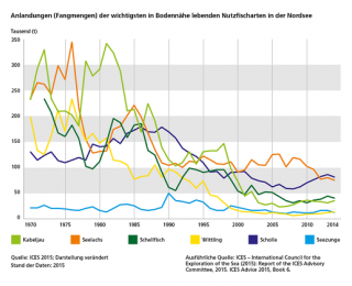 Anlandungen (Fangmengen) der wichtigsten in Bodennähe lebenden Nutzfischarten in der Nordsee