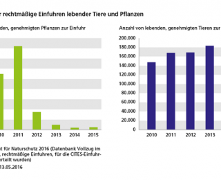 Diagramm: Anzahl der Einfuhrgenehmigungen für tote Exemplare geschützter Arten (I)