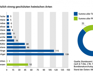 Anzahl der gesetzlich streng geschützten heimischen Arten