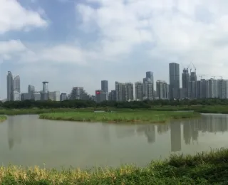 Auf der Abbildung kann man sehen wie weitläufige Feuchtgebiete am Küstensaum erhalten werden, während die Stadt im Hintergrund weiter expandiert.