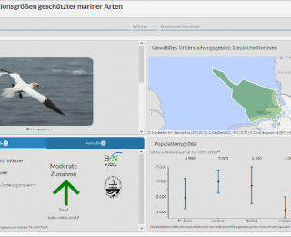 Screenshot Kartenanwendung Trends und Populationsgrößen geschützter mariner Arten