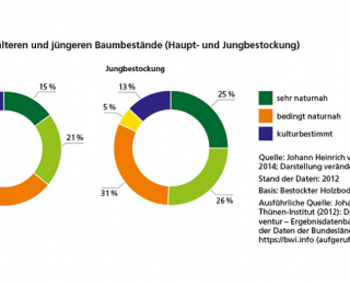 Naturnähe der älteren und jüngeren Baumbestände (Haupt- und Jungbestockung) in Deutschland