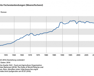 Weltweite Fangmengen der Meeresfischerei