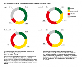 Zusammenfassung der Erhaltungszustände der Lebensraumtypen in Deutschland