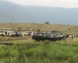 Welterbegebiet Serengeti, Tanzania, Touristen mit Jeeps