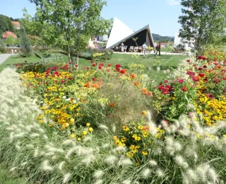 Bunte Staudenmischung in einer Stadt