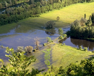 Luftbild der Aue mit Grünland, Waldbereichen und wassergefüllten Senken 
