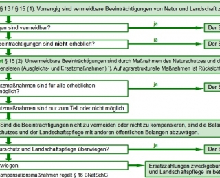 Grundsätzlicher Ablauf der Eingriff- ausgleichsregelung nach Paragraph13 und 15 Bundesnaturschutzgesetz