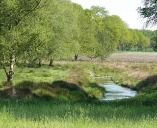 Flusslandschaft