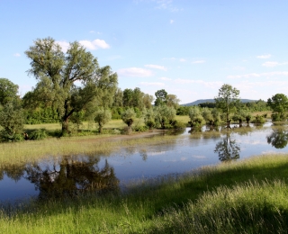 Die Oberweser mit ihrer natürlichen Aue
