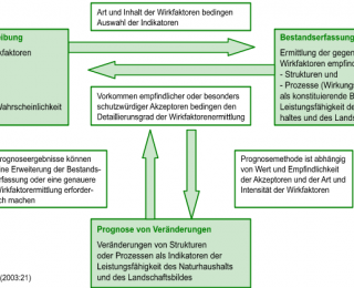 Grafik Wirkfaktoren nach Rassmus et al. 2003