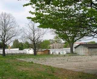 Das Foto zeigt den neu angelegten Urbanen Wald als Jungwuchs.