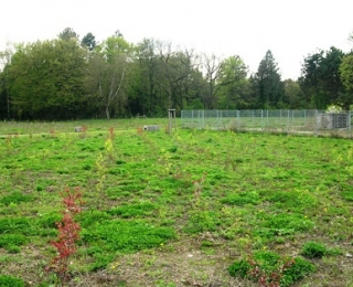 Die Stadtgärtnerei während der Wildobstaufforstung 2011.