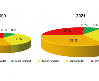 Kuchendiagramme der Auenzustandklassen 2009 und 2021. Der Zustand hat sich in den vergangen 12 Jahren nicht wesntlich gändert. Es überwiegen stark und sehr stak veränderte Zustände. Nur 1% sind sehr gering verändert.