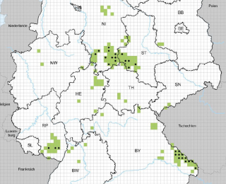 Karte Luchsverbreitung in Deutschland im Monitoringjahr 2018/2019