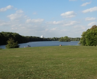 Das Foto zeigt einen großen Wiesenbereich, den großflächigen Öjendorfer See mit einer gehölzbestockten Insel sowie die Gehölzkulisse, überwiegend aus Laubbäumen, die den See an drei Seiten umgibt.