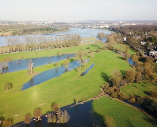 Floodplains at the Lower Rhine from above