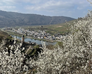 Landschaft mit blühenden Bäumen, Häusern, Fluss und Hügeln