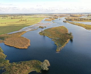 Luftbild der Unteren Havel mit geflutetem Altarm