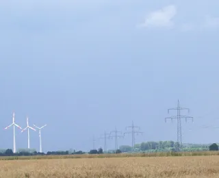 Auf freiem Feld stehen im Hintergrund mehrere Windenergieanlagen.