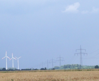 Auf freiem Feld stehen im Hintergrund mehrere Windenergieanlagen.