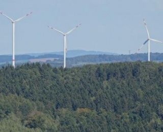 Auf dem Bild sieht man ein Waldgebiet das von mehreren Windenergieanlagen überragt wird.