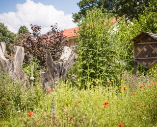 Blumenwiese mit Insektenhotel