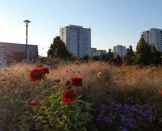 Blumen, Bäume und Hochhäuser