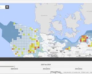 Screenshot Kartenanwendung - Populationsentwicklung von Seevögeln im 3-Jahresraster