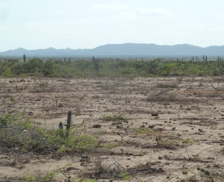 Wüstenbildung in einer von Dürre geprägten Landschaft im Norden Kolumbiens.