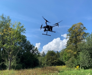 Drohne im Bayerischen Wald