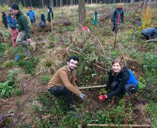 Viele Personen bei der Arbeit im Wald