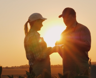 Frau und Mann auf einem Feld im Gespräch 