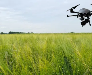 Drohne fliegt über Feld