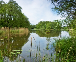 Hammerteich Kreba mit umgebender Landschaft