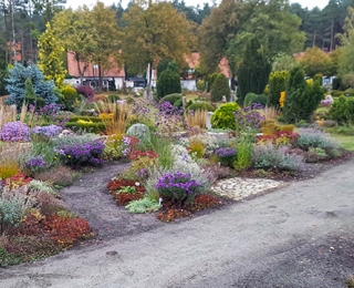 eine artenreiche Friedhofsfläche