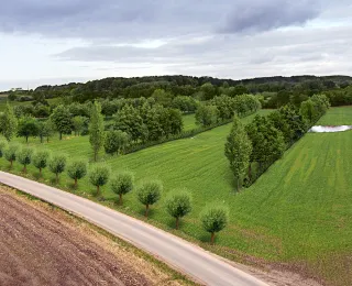 Agroforstsystem in einer Kulturlandschaft