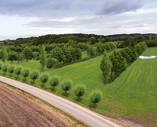 Agroforstsystem in einer Kulturlandschaft