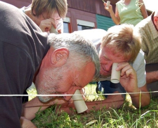 Senior*innen erleben die Natur